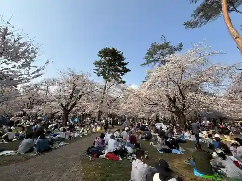 武蔵一宮氷川神社の{uncategorized: "未分類", other: "その他", undefined: "問題あり", building: "その他建物", grave: "お墓", sacred_gate: "鳥居", guardian: "狛犬", statue: "像", buddha: "仏像", history: "歴史", nature: "自然", garden: "庭園", animal: "動物", pagoda: "塔", temizu: "手水舎", mountain_gate: "山門・神門", sanctuary: "本殿・本堂", subordinate: "末社・摂社", art: "芸術", scenery: "景色", jizo: "地蔵", ema: "絵馬", goshuin: "御朱印", omikuji: "おみくじ", items: "授与品その他", amulet: "お守り", goshuincho: "御朱印帳", eats: "食事", festival: "お祭り", votive_dance: "神楽", shichigosan: "七五三参", wedding: "結婚式", experience: "体験その他", initially: "初詣", around: "周辺", anti_infection: "感染症対策"}