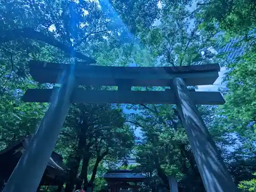 愛宕神社の鳥居