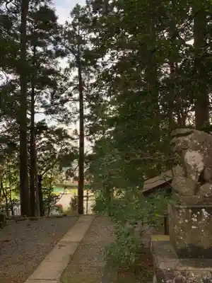 日枝神社の狛犬