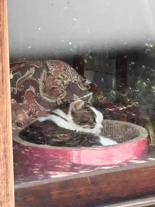 蔵前神社(東京都)