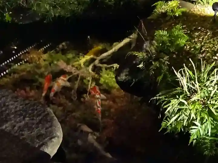 長谷寺(神奈川県)