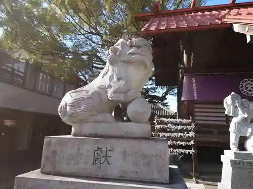 高崎神社の狛犬