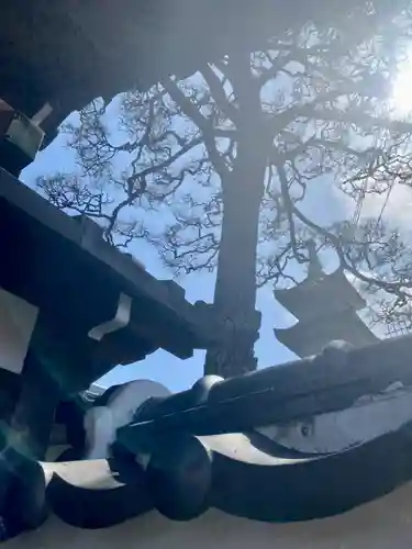 法性寺(京都府)