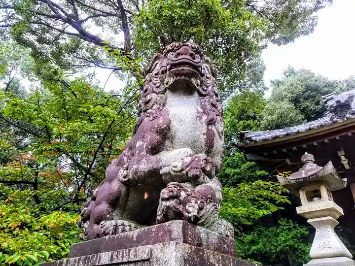 成石神社の狛犬