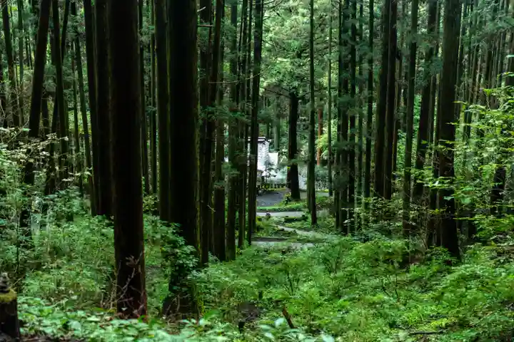 上色見熊野座神社(熊本県)