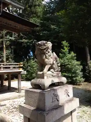 柏木神社の狛犬