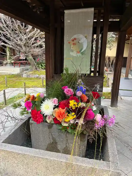 勝林寺(京都府)