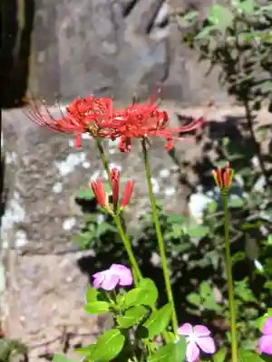 鷺宮八幡神社(東京都)