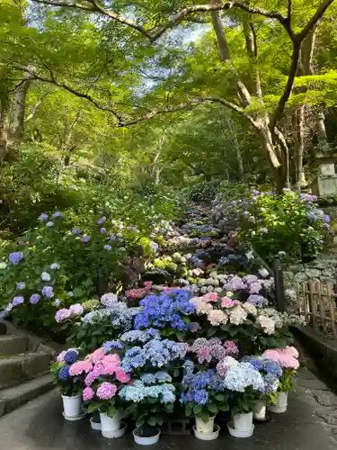 長谷寺(奈良県)