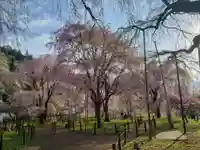 清雲寺(埼玉県)