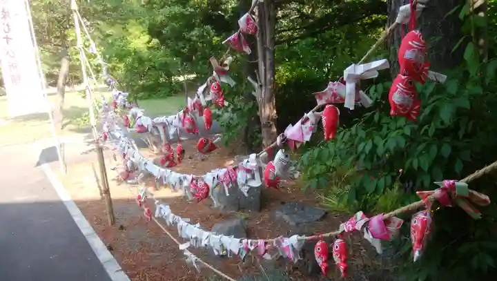 多賀神社のおみくじ