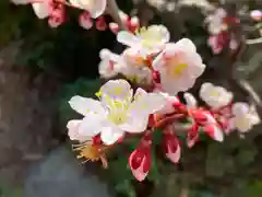 滑川神社 - 仕事と子どもの守り神の自然