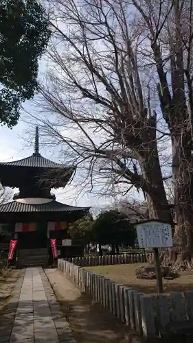 鑁阿寺の本殿