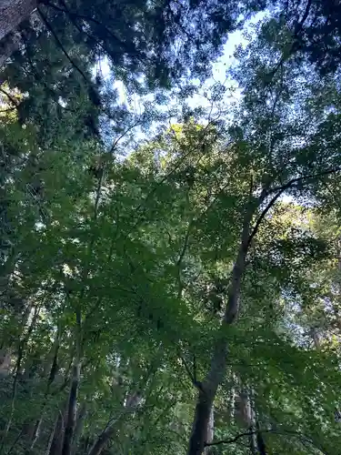 小國神社(静岡県)
