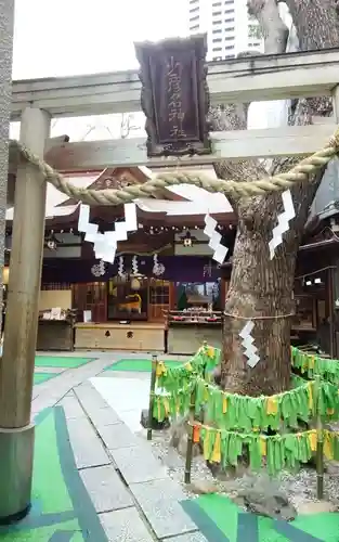 少彦名神社の御朱印