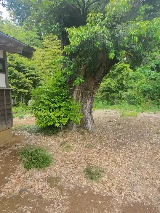 足高稲荷神社(茨城県)