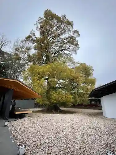 上野東照宮(東京都)