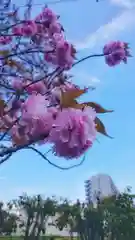 神明社（国府宮神明社）の自然