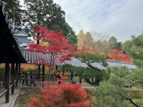 東福禅寺（東福寺）(京都府)
