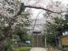 松尾寺(京都府)