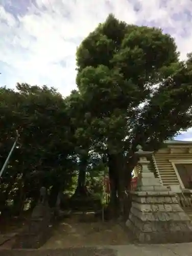 諏訪神社(東京都)