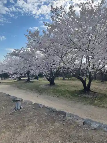 貴船神社の自然