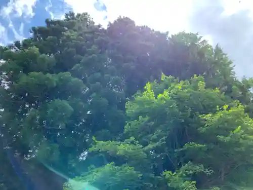 駒嶽神社の自然