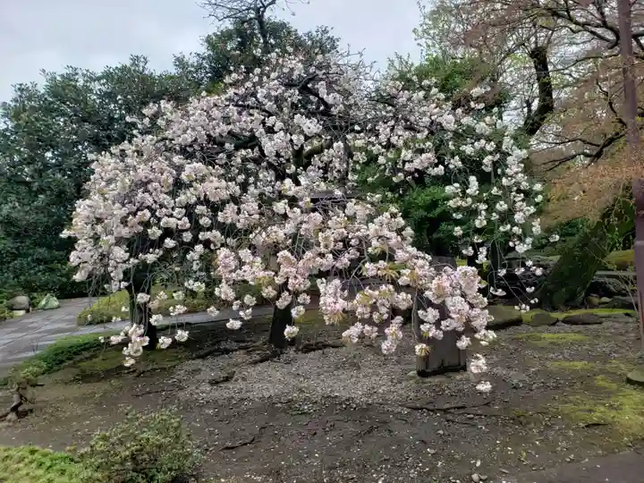 福蔵院(東京都)