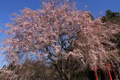 正一位稲荷大明神の景色