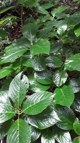 瑞鳳殿(宮城県)