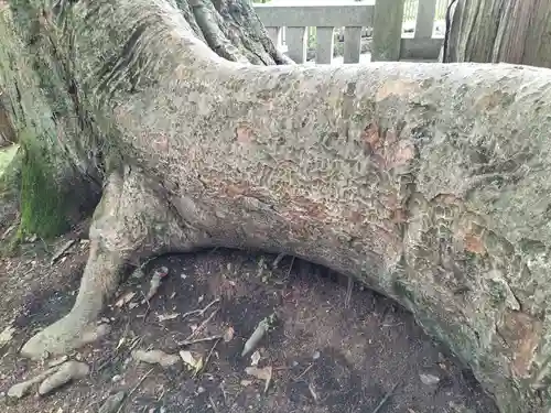 諏訪大社(長野県)