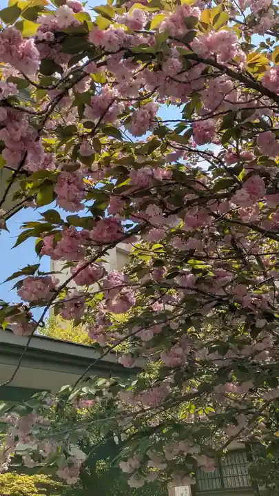 和光寺(大阪府)