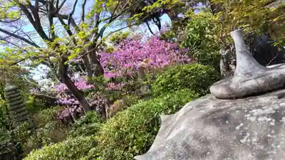 霊源院(京都府)