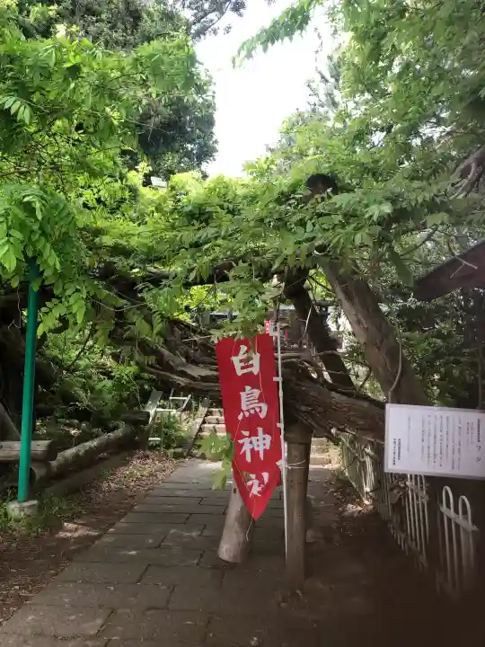 白鳥神社(宮城県)