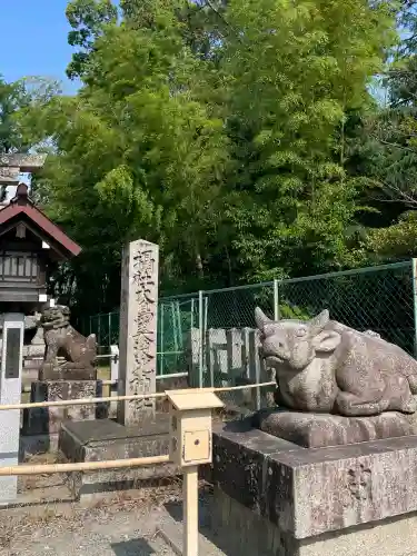 和泉國一之宮　大鳥大社の{uncategorized: "未分類", other: "その他", undefined: "問題あり", building: "その他建物", grave: "お墓", sacred_gate: "鳥居", guardian: "狛犬", statue: "像", buddha: "仏像", history: "歴史", nature: "自然", garden: "庭園", animal: "動物", pagoda: "塔", temizu: "手水舎", mountain_gate: "山門・神門", sanctuary: "本殿・本堂", subordinate: "末社・摂社", art: "芸術", scenery: "景色", jizo: "地蔵", ema: "絵馬", goshuin: "御朱印", omikuji: "おみくじ", items: "授与品その他", amulet: "お守り", goshuincho: "御朱印帳", eats: "食事", festival: "お祭り", votive_dance: "神楽", shichigosan: "七五三参", wedding: "結婚式", experience: "体験その他", initially: "初詣", around: "周辺", anti_infection: "感染症対策"}