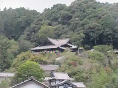 長谷寺(奈良県)