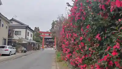 梅宮大社の周辺