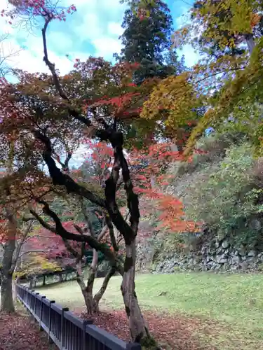 有子山稲荷神社の自然