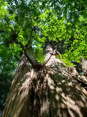 磐椅神社(福島県)
