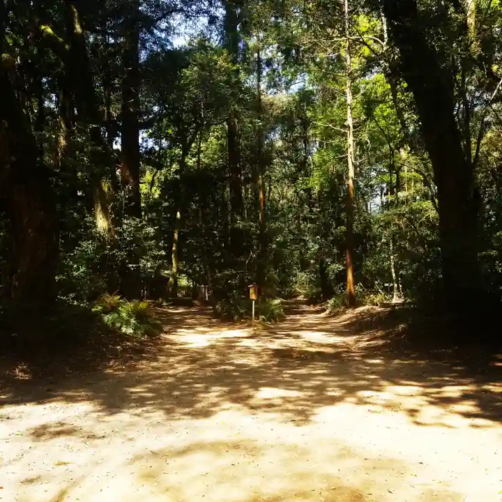 鹿島神宮の自然