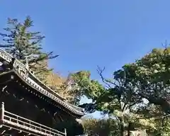 八事山 興正寺の自然