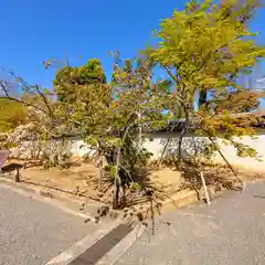 仁和寺の自然