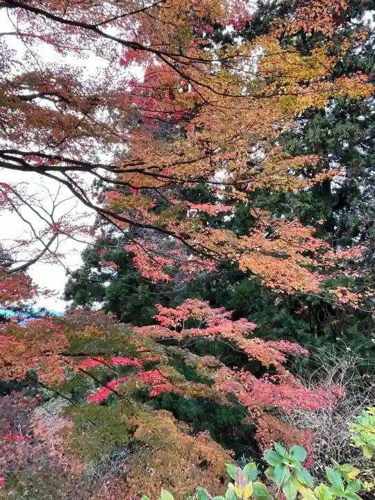 高尾山薬王院(東京都)