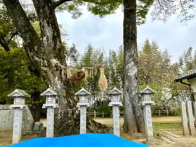 牟佐神社(滋賀県)