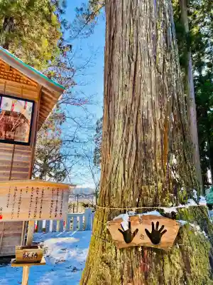 毘沙門堂の{uncategorized: "未分類", other: "その他", undefined: "問題あり", building: "その他建物", grave: "お墓", sacred_gate: "鳥居", guardian: "狛犬", statue: "像", buddha: "仏像", history: "歴史", nature: "自然", garden: "庭園", animal: "動物", pagoda: "塔", temizu: "手水舎", mountain_gate: "山門・神門", sanctuary: "本殿・本堂", subordinate: "末社・摂社", art: "芸術", scenery: "景色", jizo: "地蔵", ema: "絵馬", goshuin: "御朱印", omikuji: "おみくじ", items: "授与品その他", amulet: "お守り", goshuincho: "御朱印帳", eats: "食事", festival: "お祭り", votive_dance: "神楽", shichigosan: "七五三参", wedding: "結婚式", experience: "体験その他", initially: "初詣", around: "周辺", anti_infection: "感染症対策"}