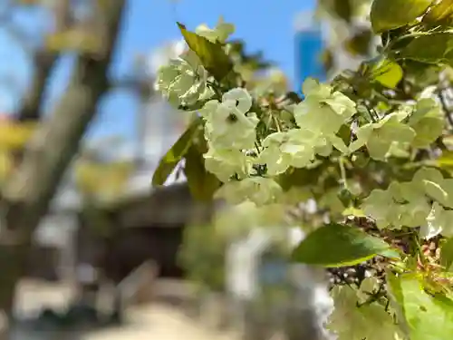 賢隆山久遠寺の自然