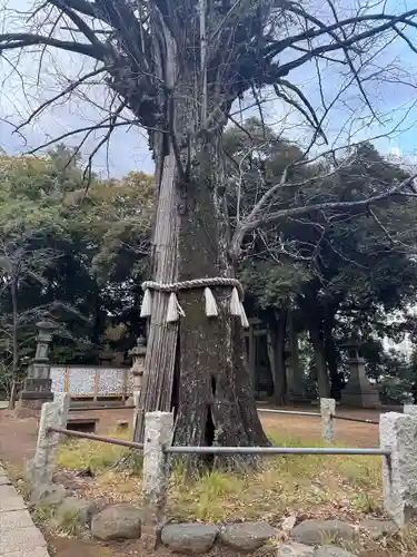 赤坂氷川神社(東京都)