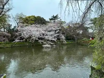 三嶋大社の{uncategorized: "未分類", other: "その他", undefined: "問題あり", building: "その他建物", grave: "お墓", sacred_gate: "鳥居", guardian: "狛犬", statue: "像", buddha: "仏像", history: "歴史", nature: "自然", garden: "庭園", animal: "動物", pagoda: "塔", temizu: "手水舎", mountain_gate: "山門・神門", sanctuary: "本殿・本堂", subordinate: "末社・摂社", art: "芸術", scenery: "景色", jizo: "地蔵", ema: "絵馬", goshuin: "御朱印", omikuji: "おみくじ", items: "授与品その他", amulet: "お守り", goshuincho: "御朱印帳", eats: "食事", festival: "お祭り", votive_dance: "神楽", shichigosan: "七五三参", wedding: "結婚式", experience: "体験その他", initially: "初詣", around: "周辺", anti_infection: "感染症対策"}
