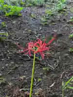 伏木香取神社(茨城県)