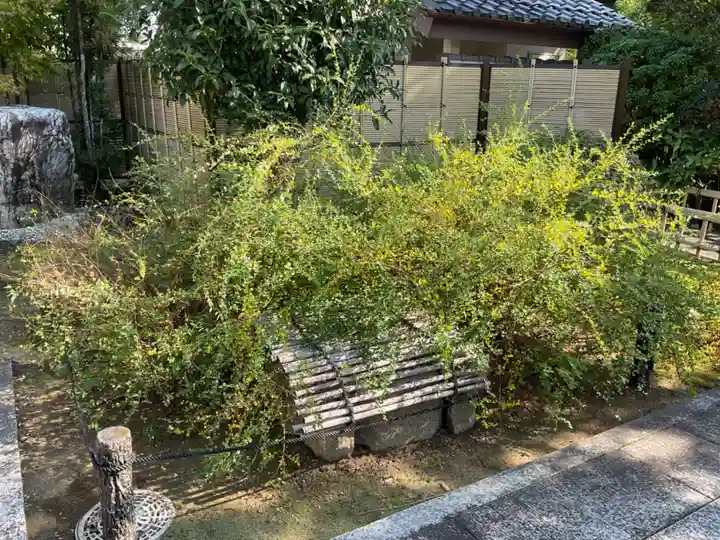 圓光禅寺(円光寺)(愛知県)